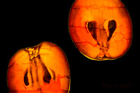INSIDE THE FRUIT